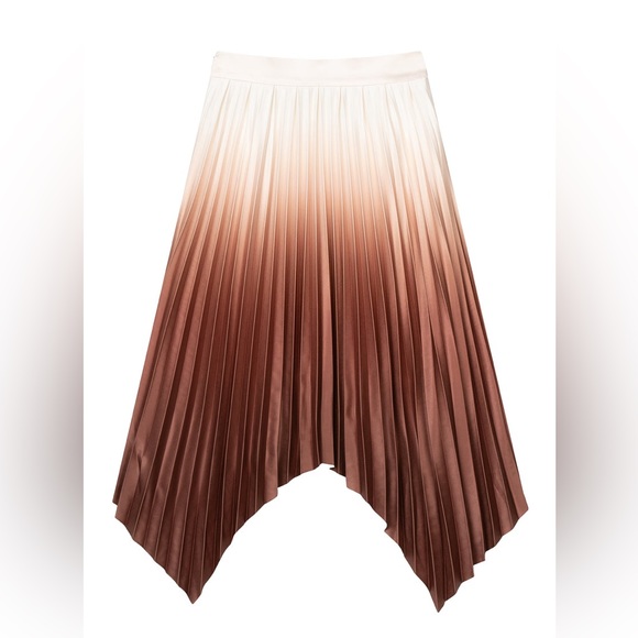 Petite Studio Calla Pleated Skirt in Rust, size XXS - Picture 3 of 16